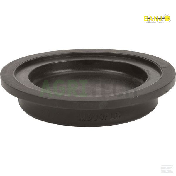 BN321079-BANJO - Переходник фланец 3